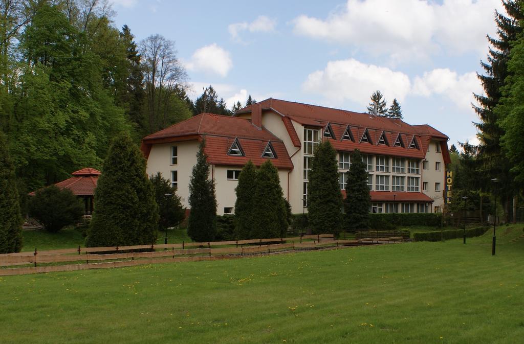 Hotel I Restauracja Złoty Las Eksteriør billede